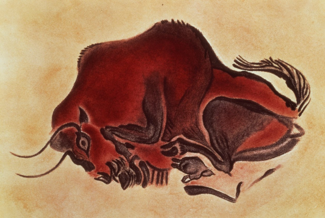 Felsmalerei eines Bisons, spätes Magdalénien, 13000 v. Chr. von Unbekannt Unbekannt
