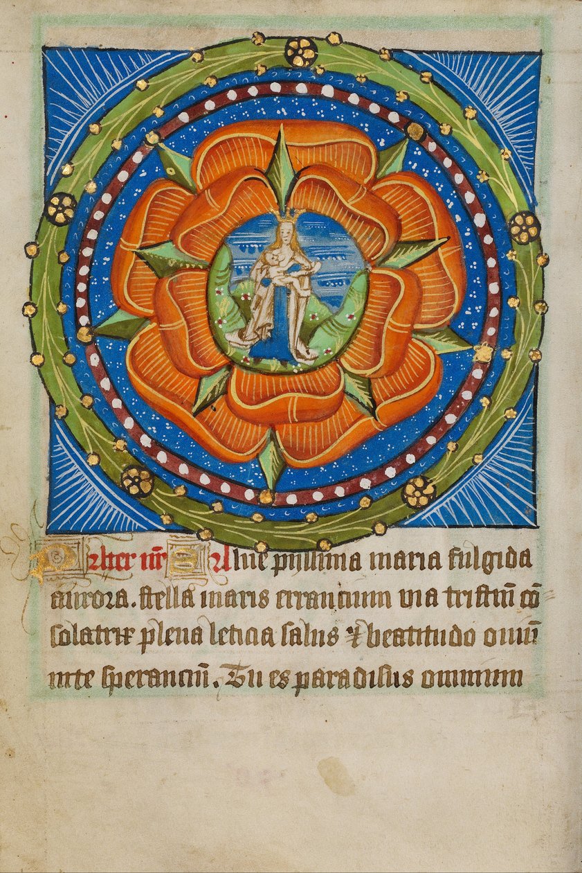 Rosenkranz mit Virgo Lactans von Unbekannt Unbekannt