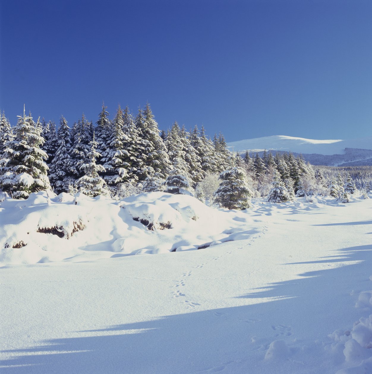 Die Wicklow Mountains im Winter von Unbekannt Unbekannt