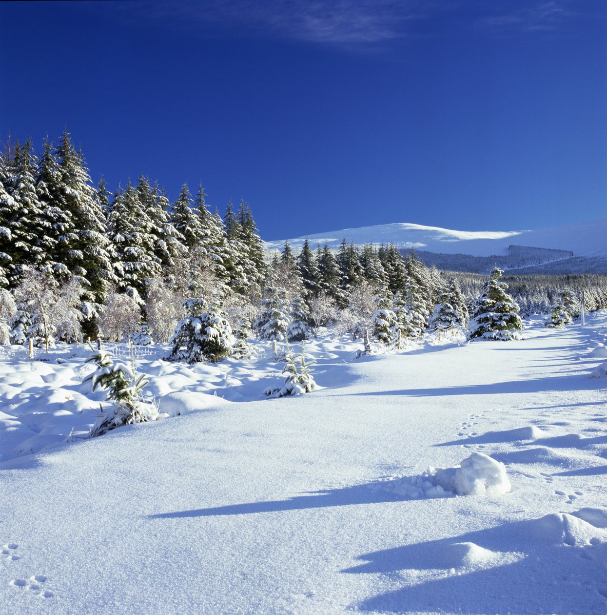 Die Wicklow-Berge im Winter von Unbekannt Unbekannt