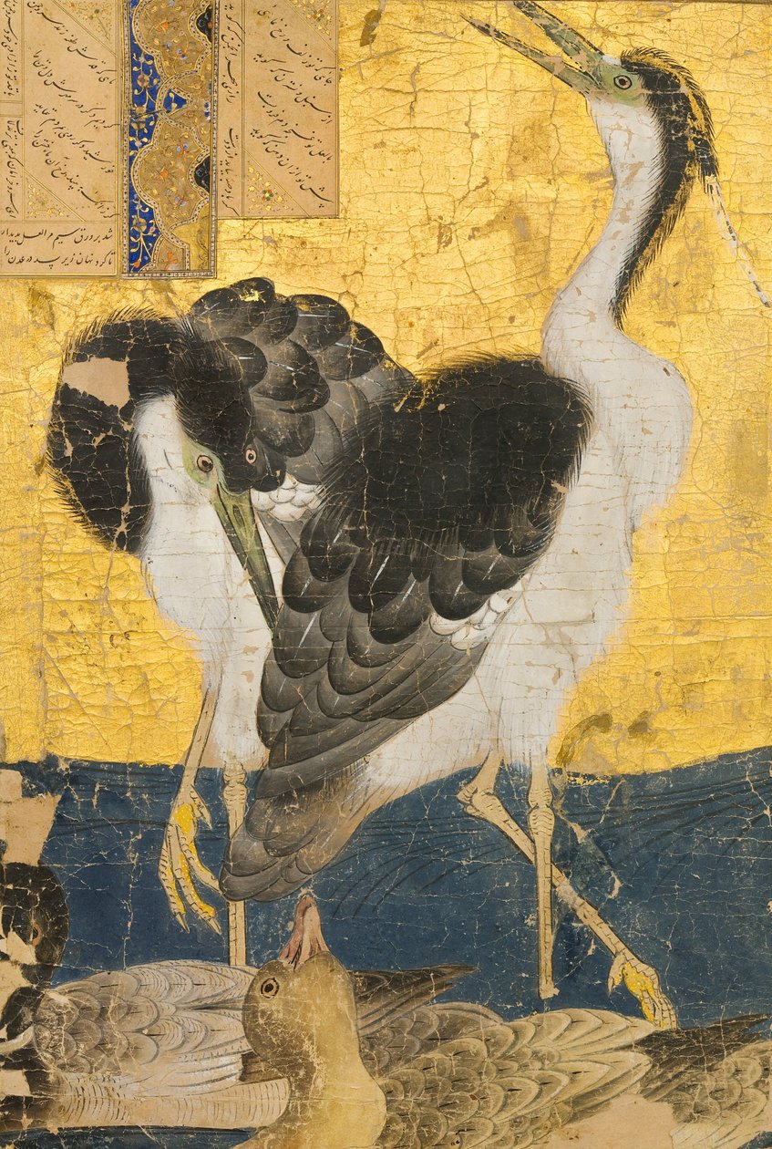 Zwei Reiher mit Enten von Unbekannt Unbekannt