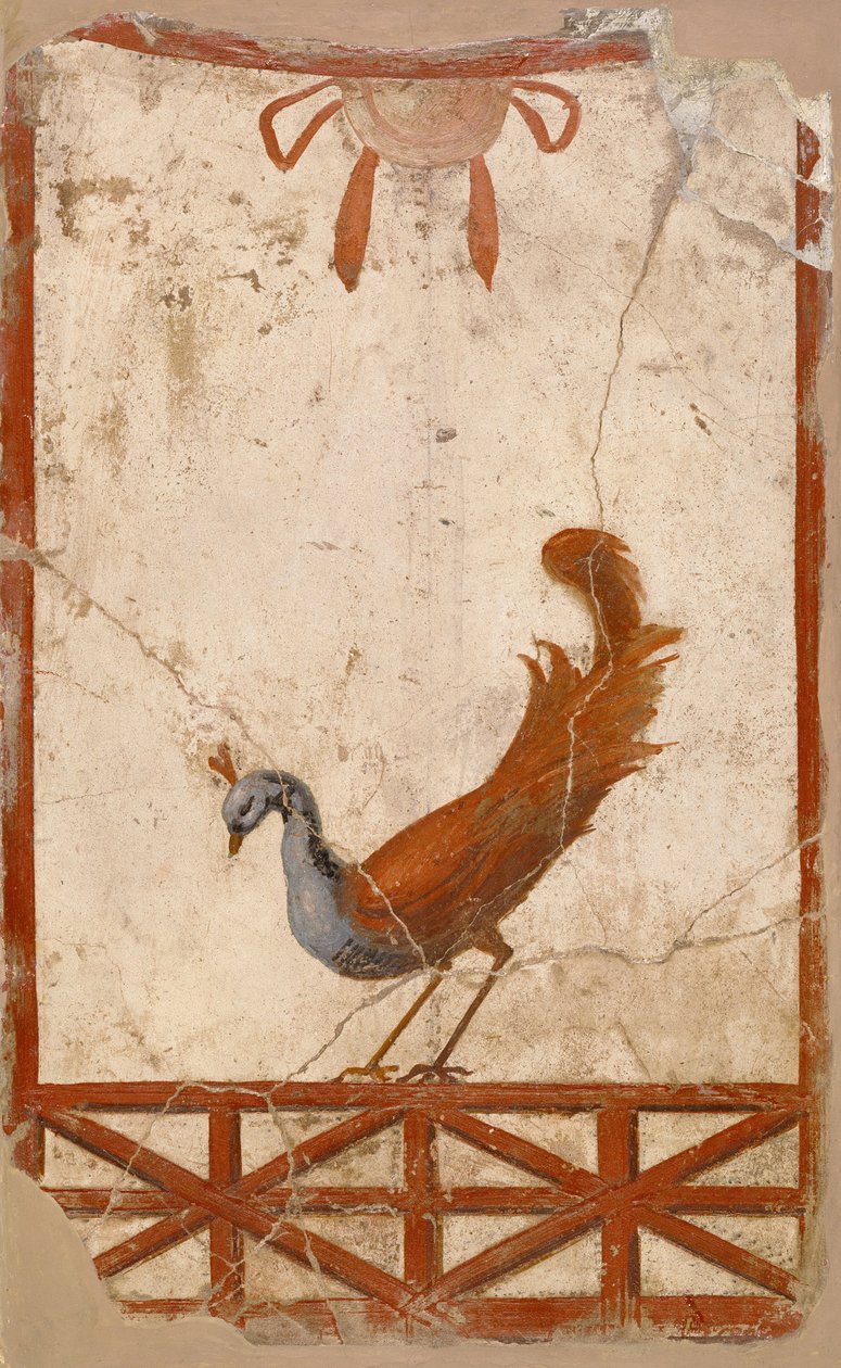 Wandfragment mit einem Pfau von Unbekannt Unbekannt