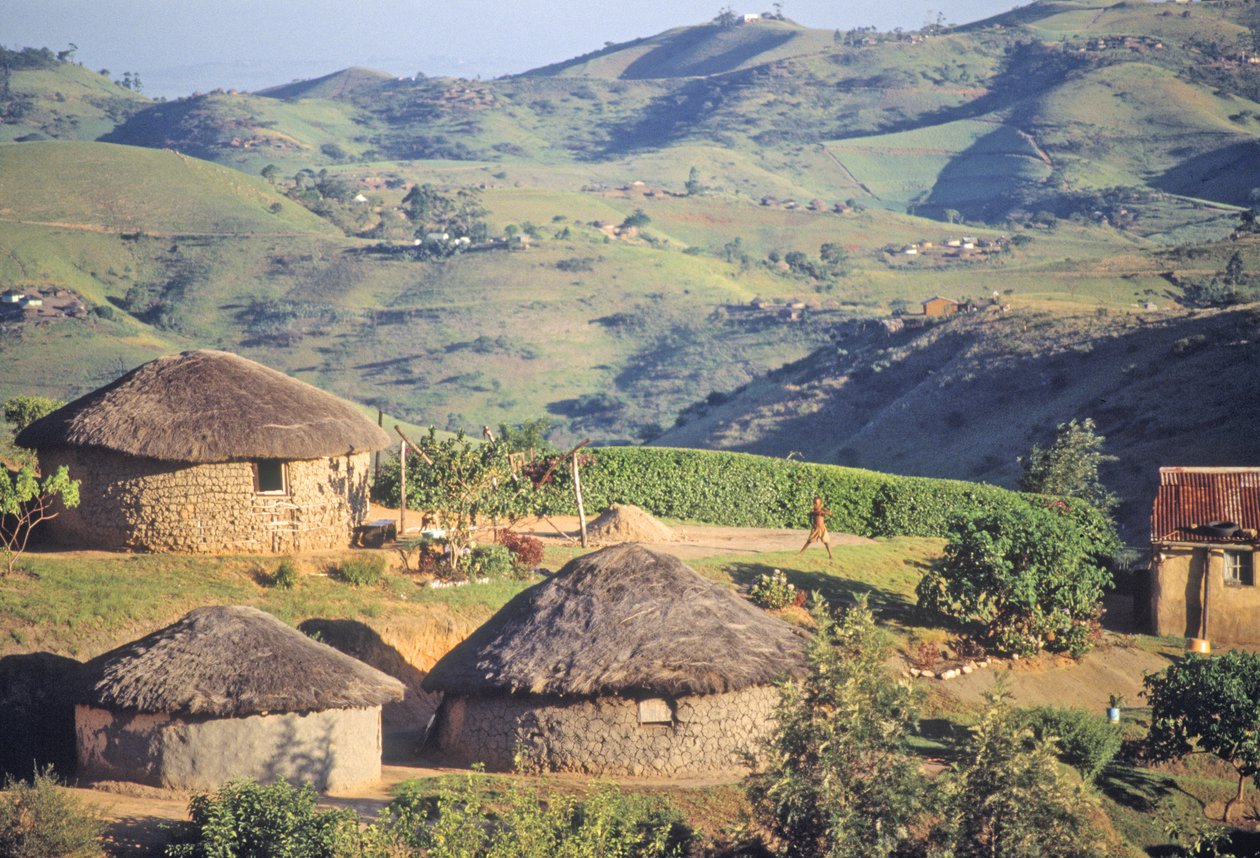Zulu-Dorf, in der Nähe von Eshowe von Unbekannt Unbekannt