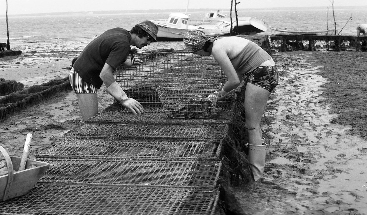 Ostregrower in Vendee, August 1974 von Unbekannt