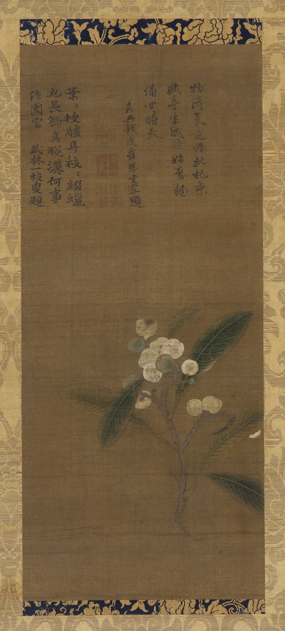 Ein Zweig von Loquats von Unbekannt