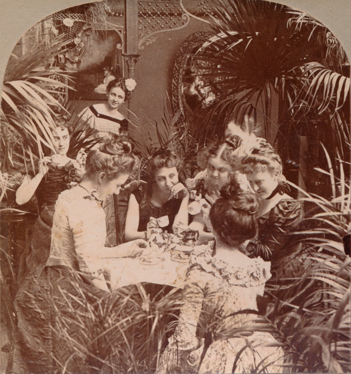 Ein Vermögen in einer Teetasse, 1901 von Unbekannt