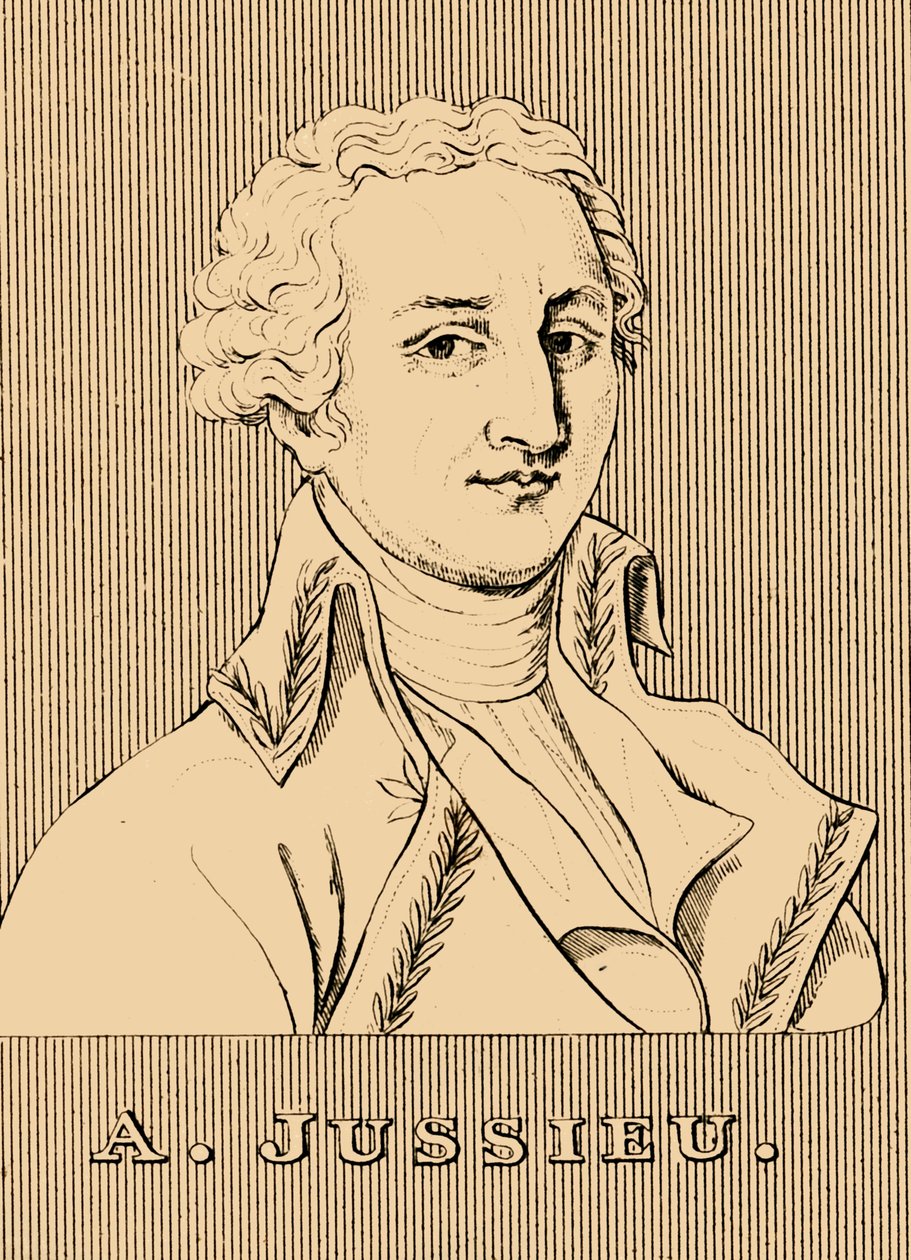 A. Jussieu, 1748-1836 von Unbekannt