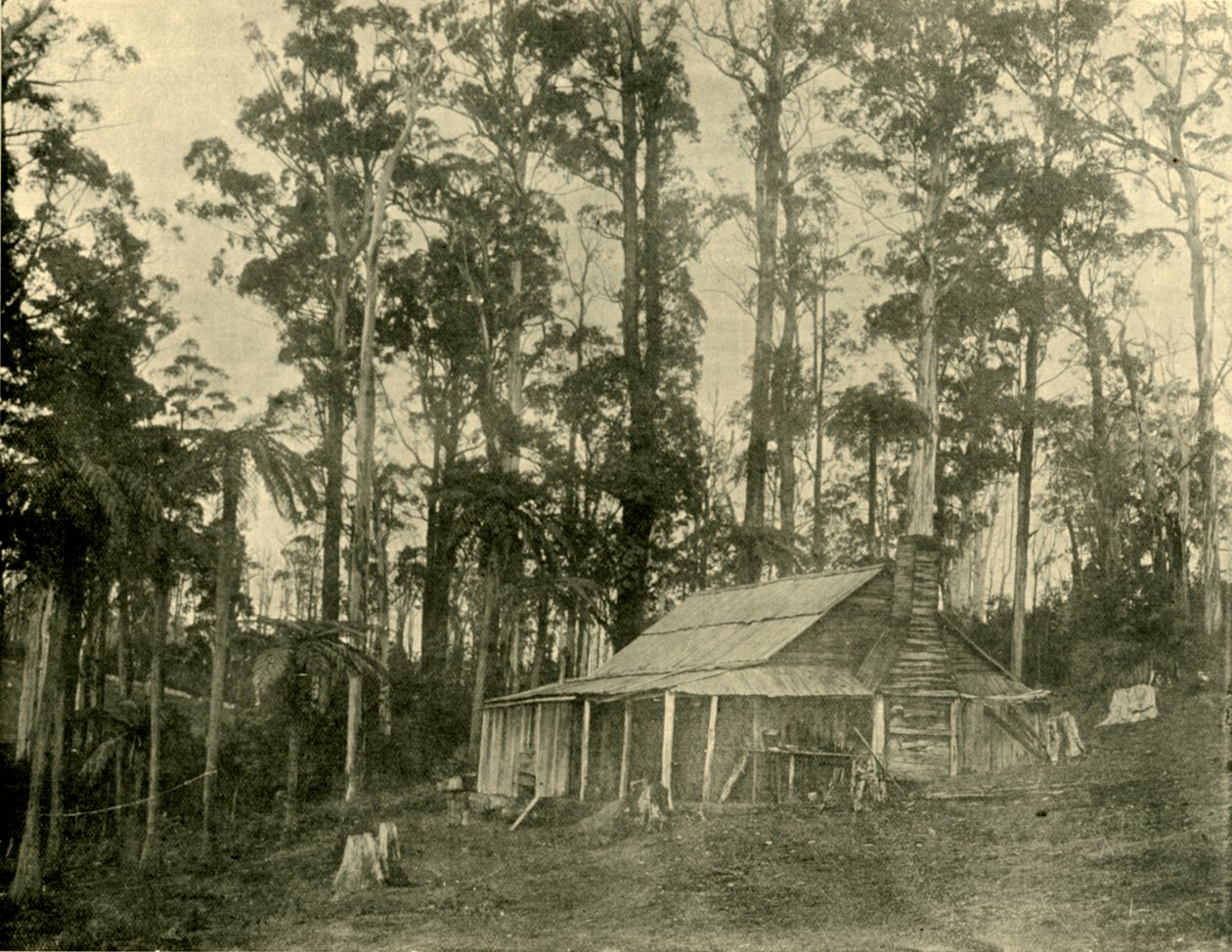 Eine rustikale Behausung, 1901 von Unbekannt