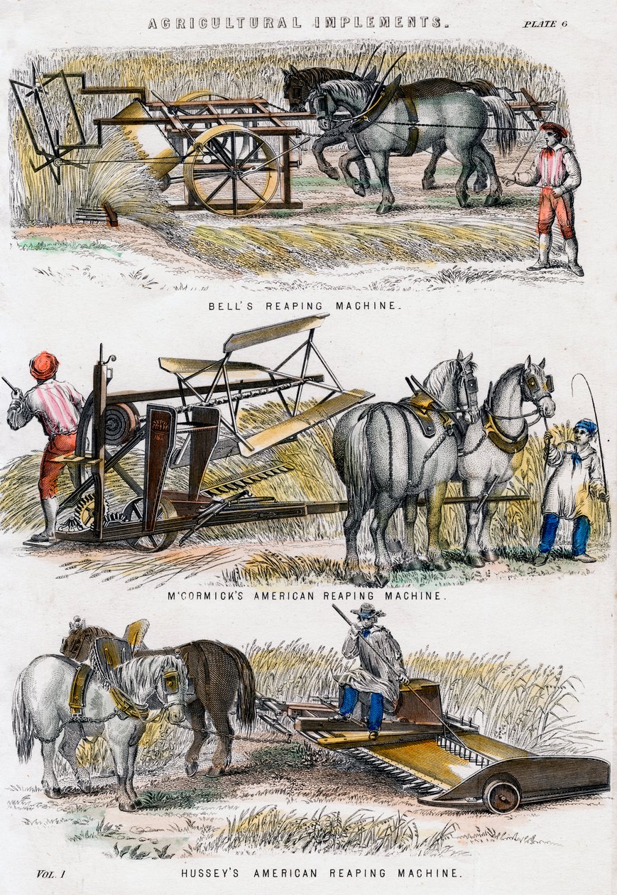 Landwirtschaftliche Geräte, 19. Jahrhundert von Unbekannt