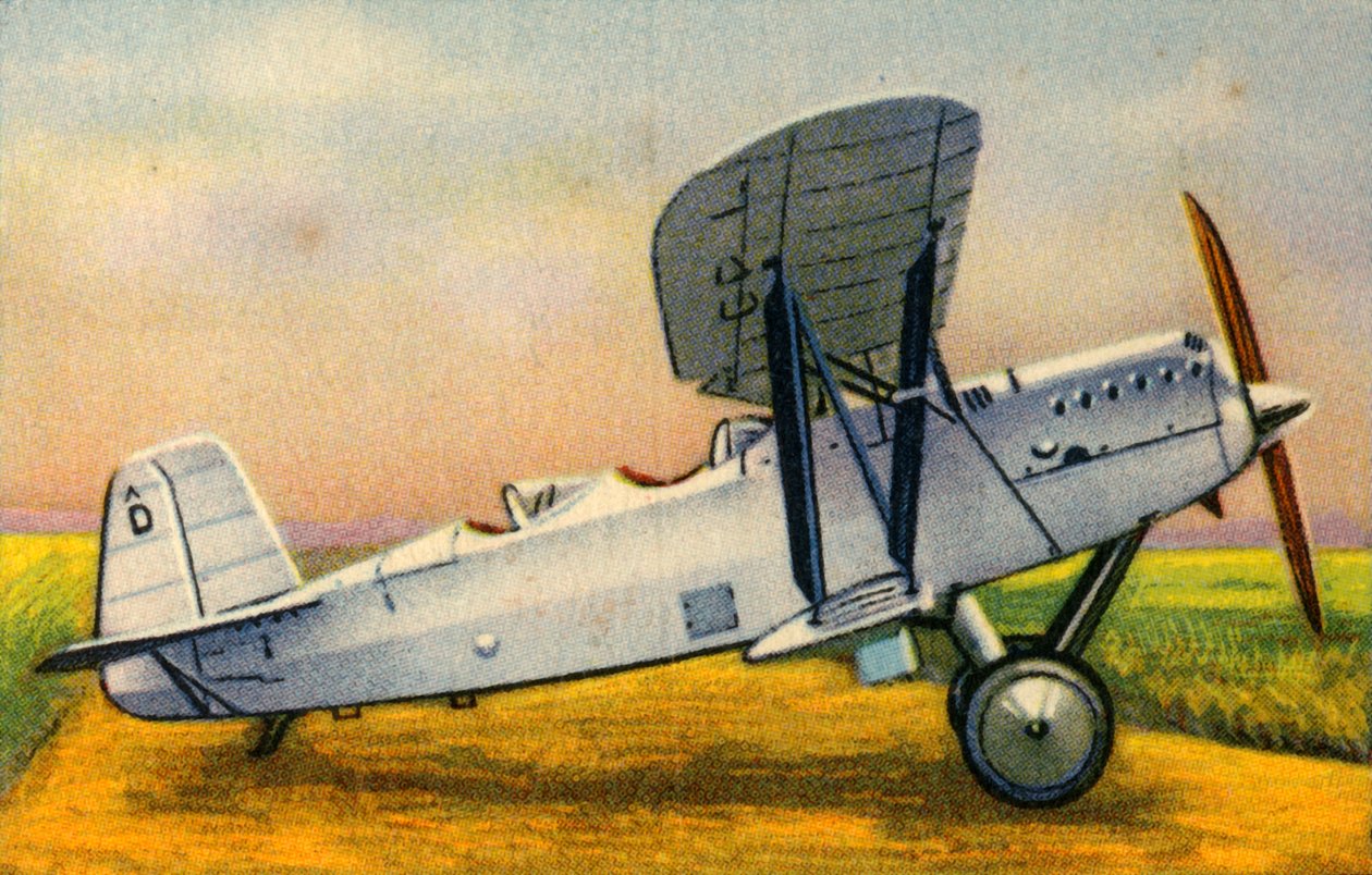 Albatros L76 Aeolus Flugzeug von Unbekannt