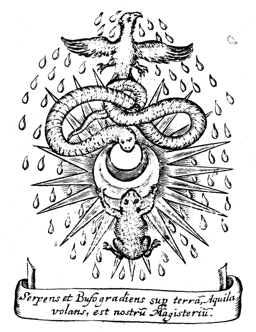Alchemistische Symbolik von Unbekannt