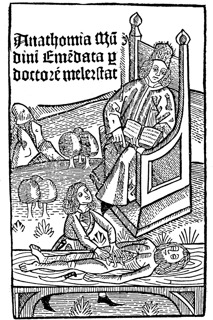 Anatomie-Demonstration, 1493 von Unbekannt