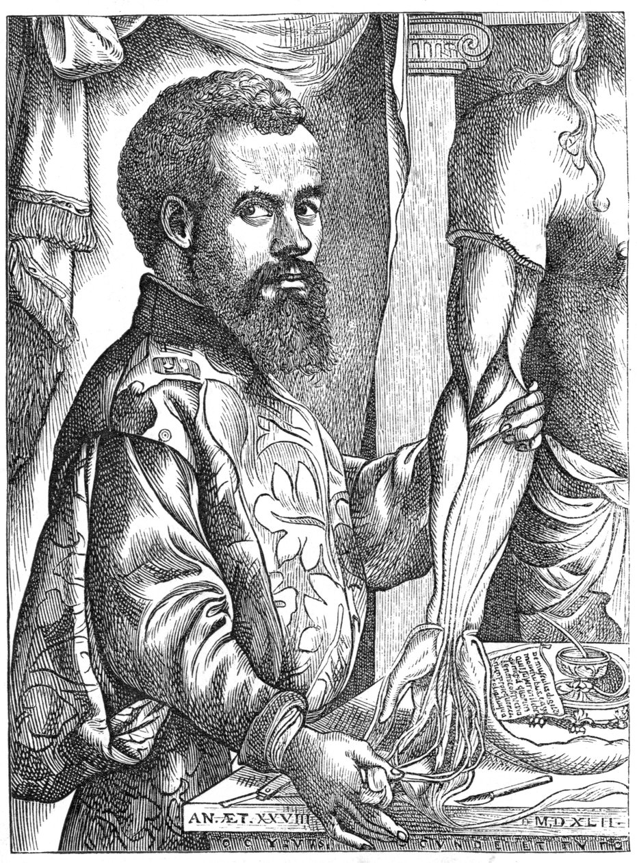 Andreas Vesalius, flämischer Anatom des 16. Jahrhunderts von Unbekannt
