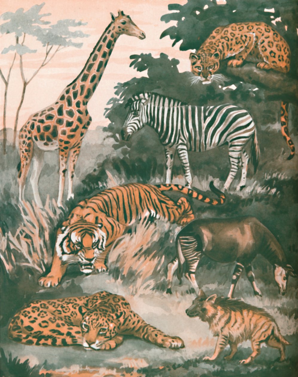 Tiere, die durch Flecken und Streifen geholfen werden, 1935 von Unbekannt