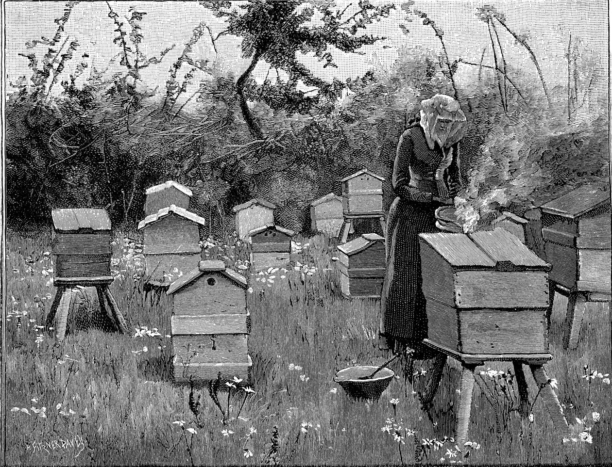 Bienenhaus aus Holz, Lismore, Irland, 1890 von Unbekannt