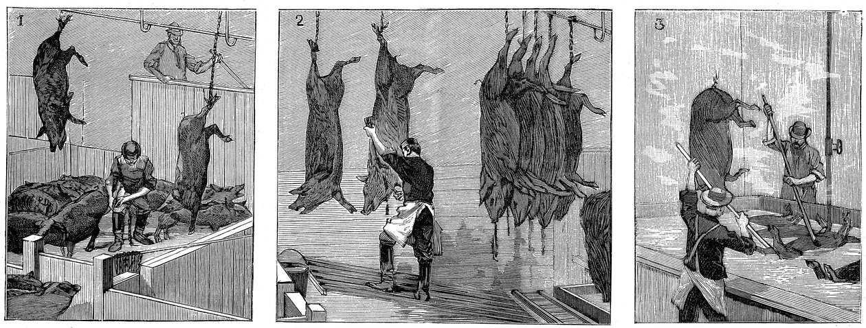 Schlachthaus der Armour Company, Chicago, Illinois, USA, 1892 von Unbekannt