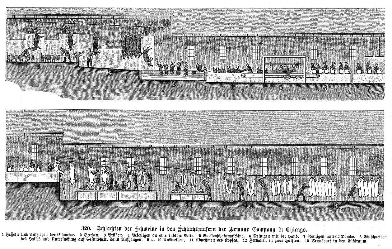 Schlachthof der Armour Company, Chicago, Illinois, USA, 1895 von Unbekannt