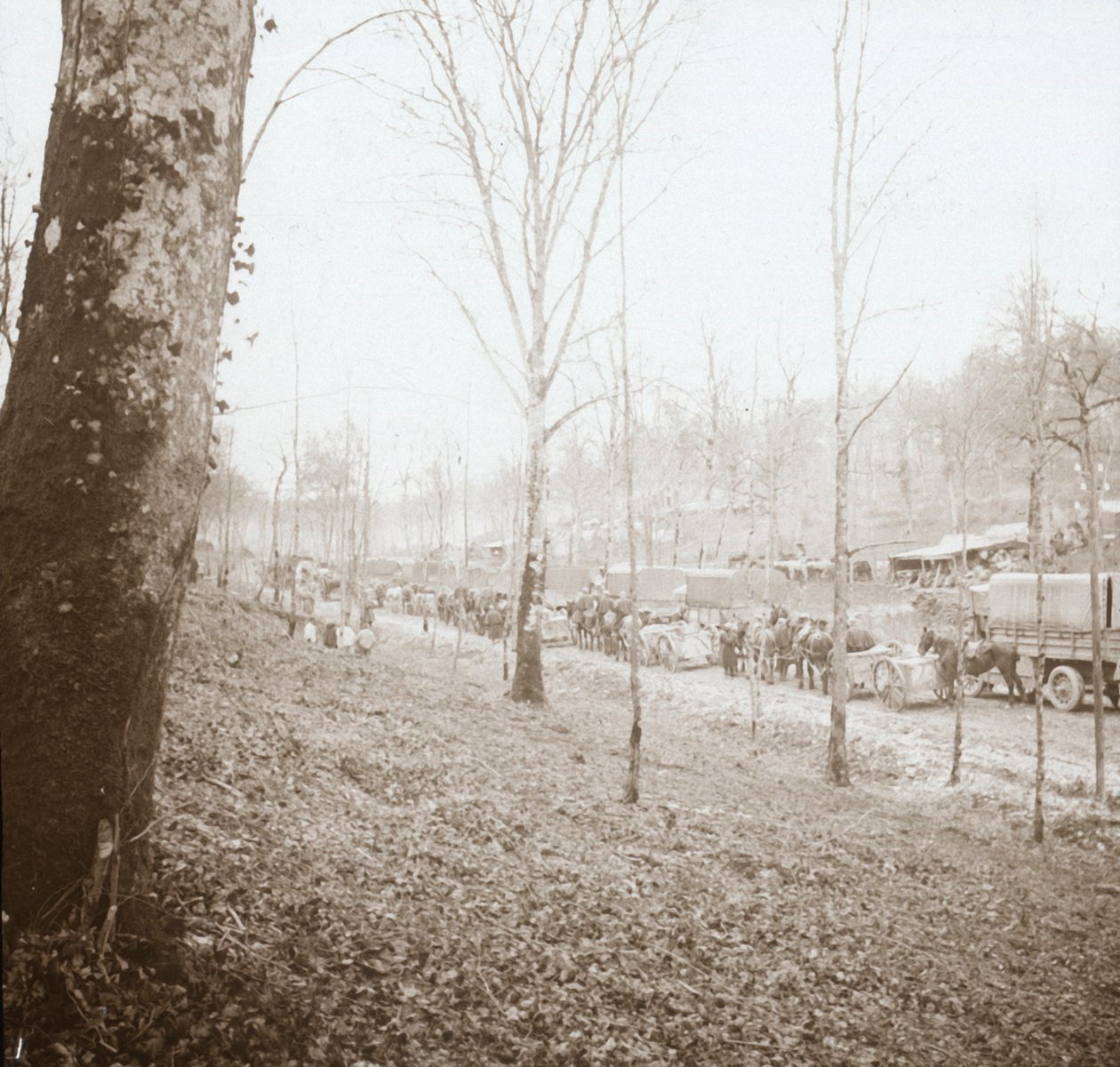 Artillerie, Somme, Nordfrankreich, um 1914-1918 von Unbekannt