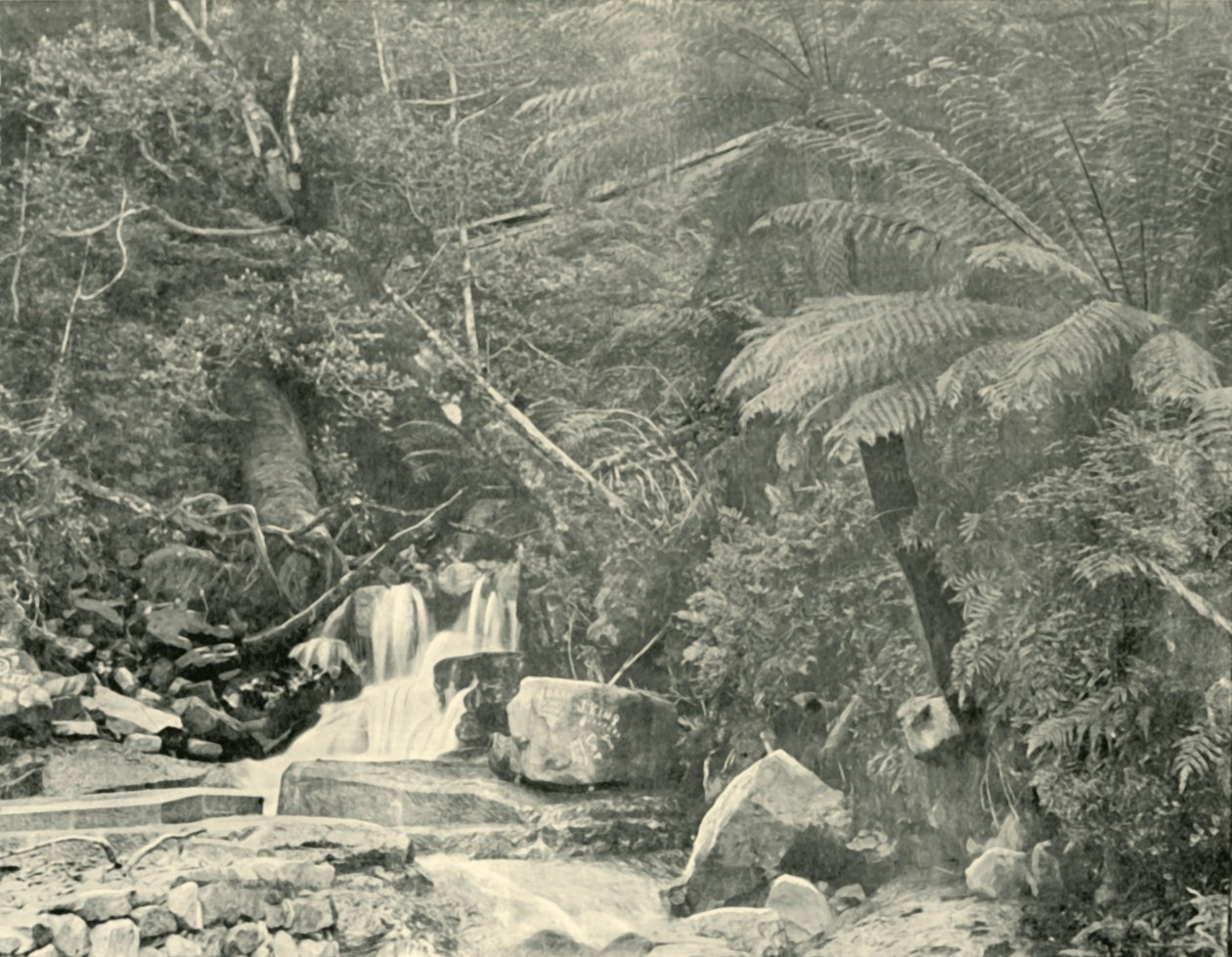 Am St. Crispins Brunnen, 1901 von Unbekannt