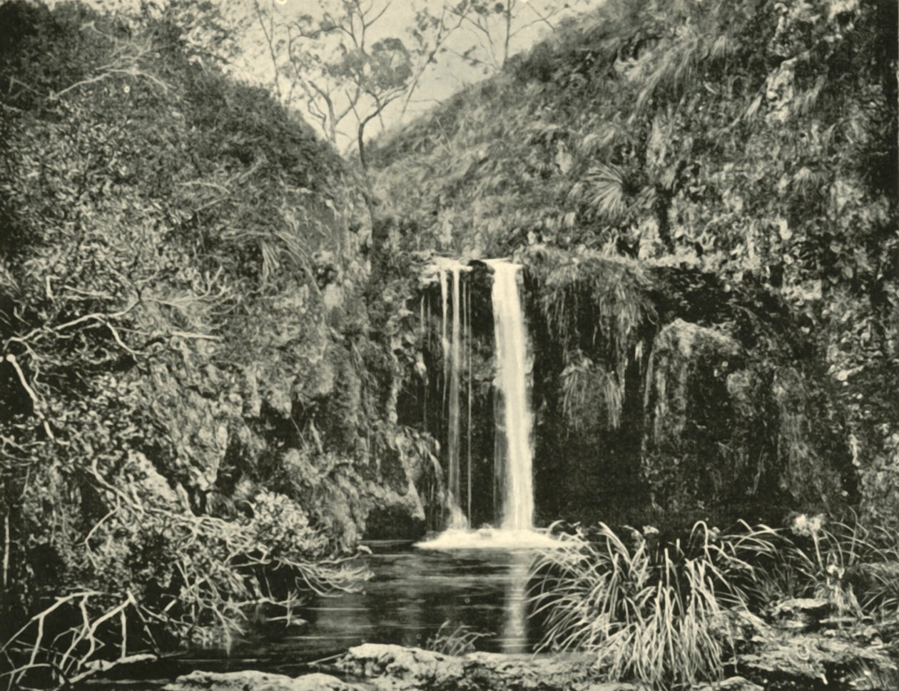 Back Creek Falls, Buchan River, Victoria, 1901 von Unbekannt