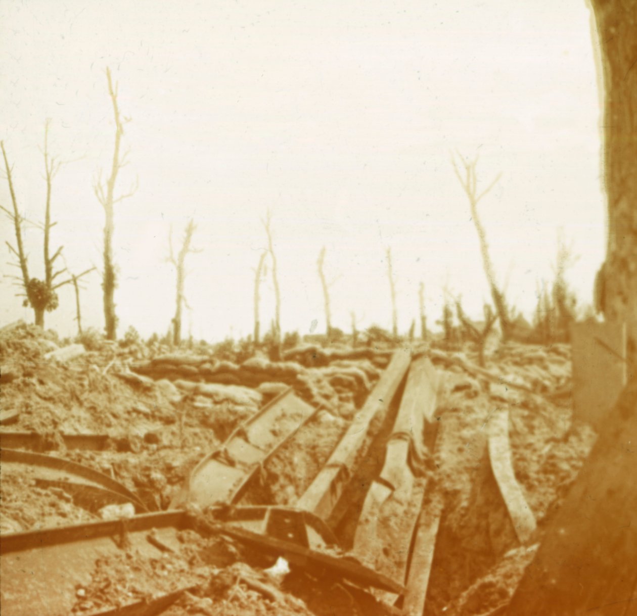 Ufer des Flusses Yser, Diksmuide, Belgien, um 1914-1918 von Unbekannt