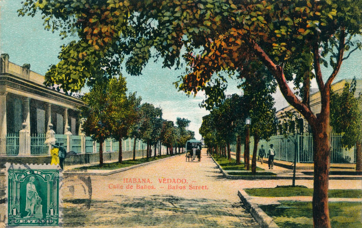 Banos Straße, Havanna, Kuba, ca. 1910 von Unbekannt