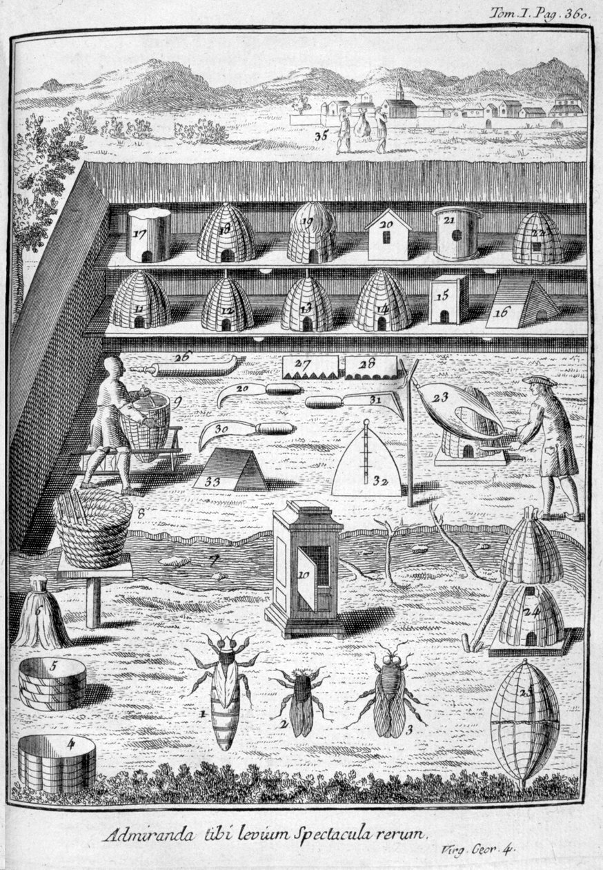 Imkerei, 1775 von Unbekannt