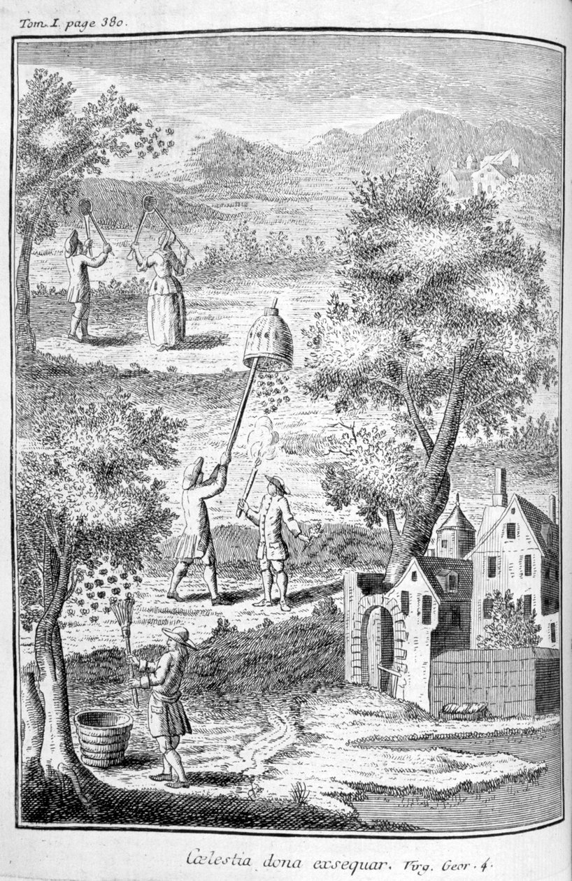 Imkerei, 1775 von Unbekannt