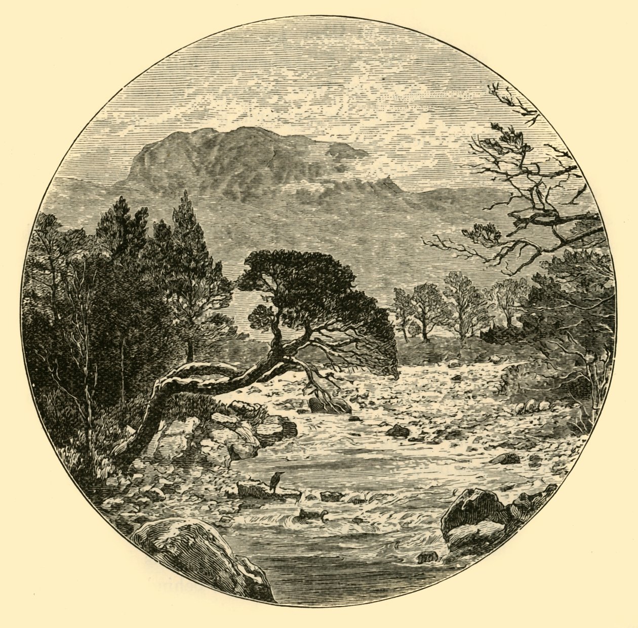Ben Slioch, 1898 von Unbekannt