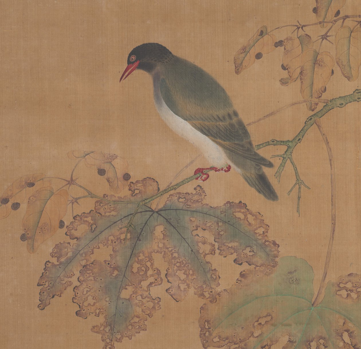 Vogel auf Zweig von Unbekannt