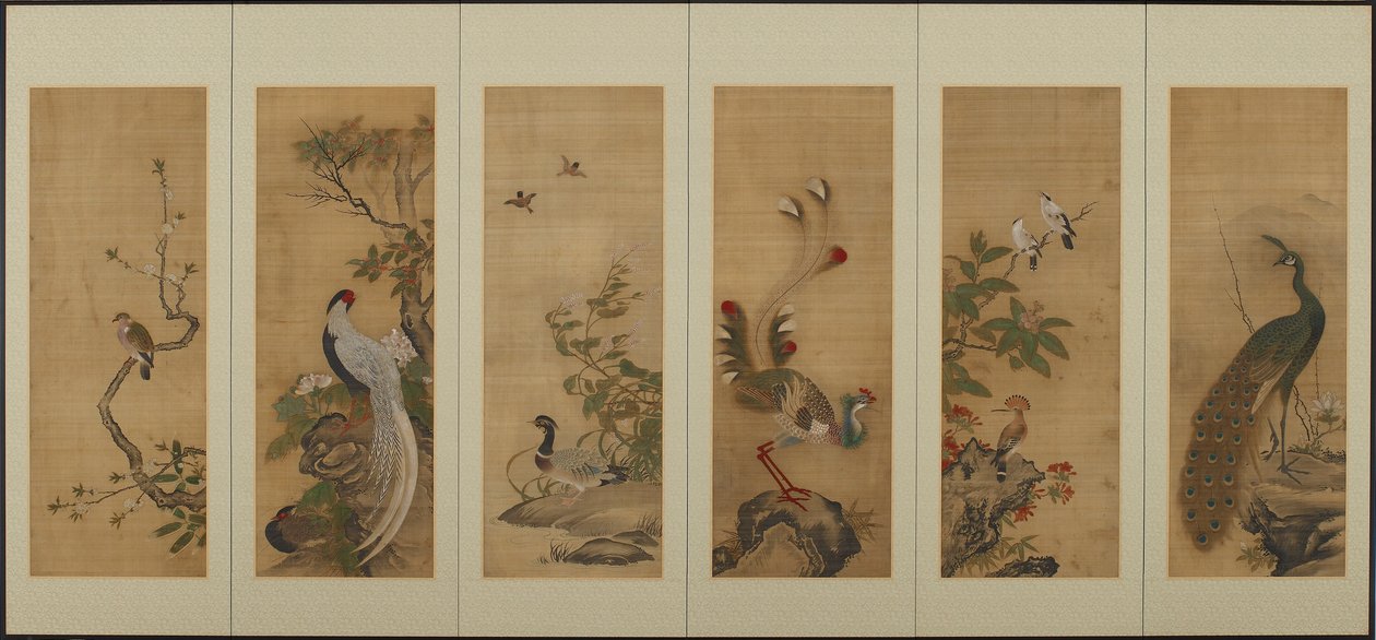Vögel und Blumen, Edo-Periode, 18. Jahrhundert von Unbekannt