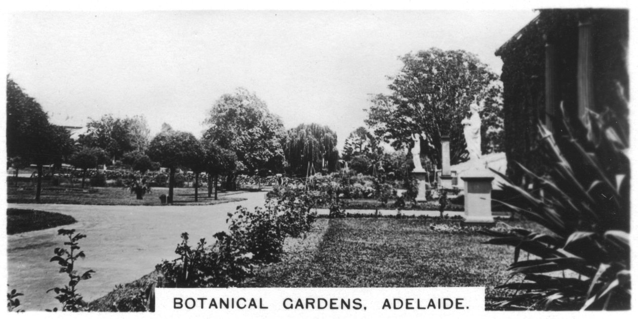 Botanische Gärten, Adelaide, Australien, 1928 von Unbekannt