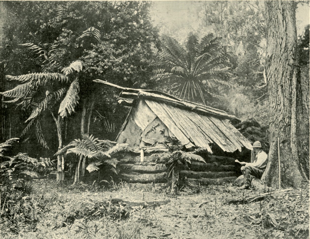 Buschhütte, Dandenong Ranges, Victoria, 1901 von Unbekannt