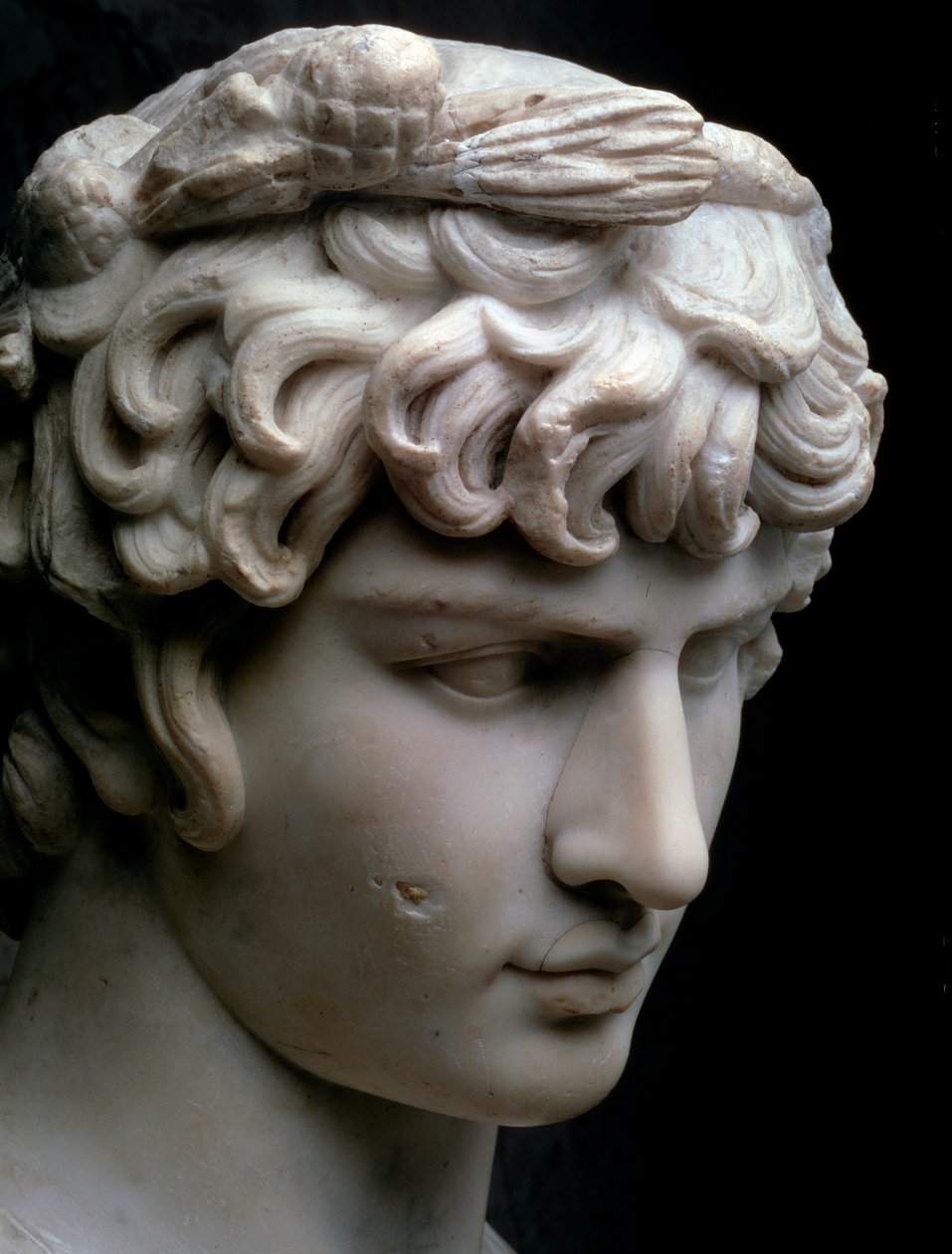 Büste des Antinous, Mitte 2. Jahrhundert n. Chr. von Unbekannt