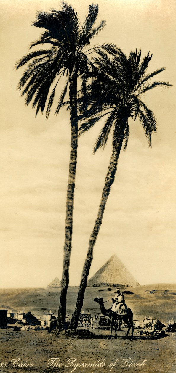 Kairo - Die Pyramiden von Gizeh, um 1918-1939. von Unbekannt