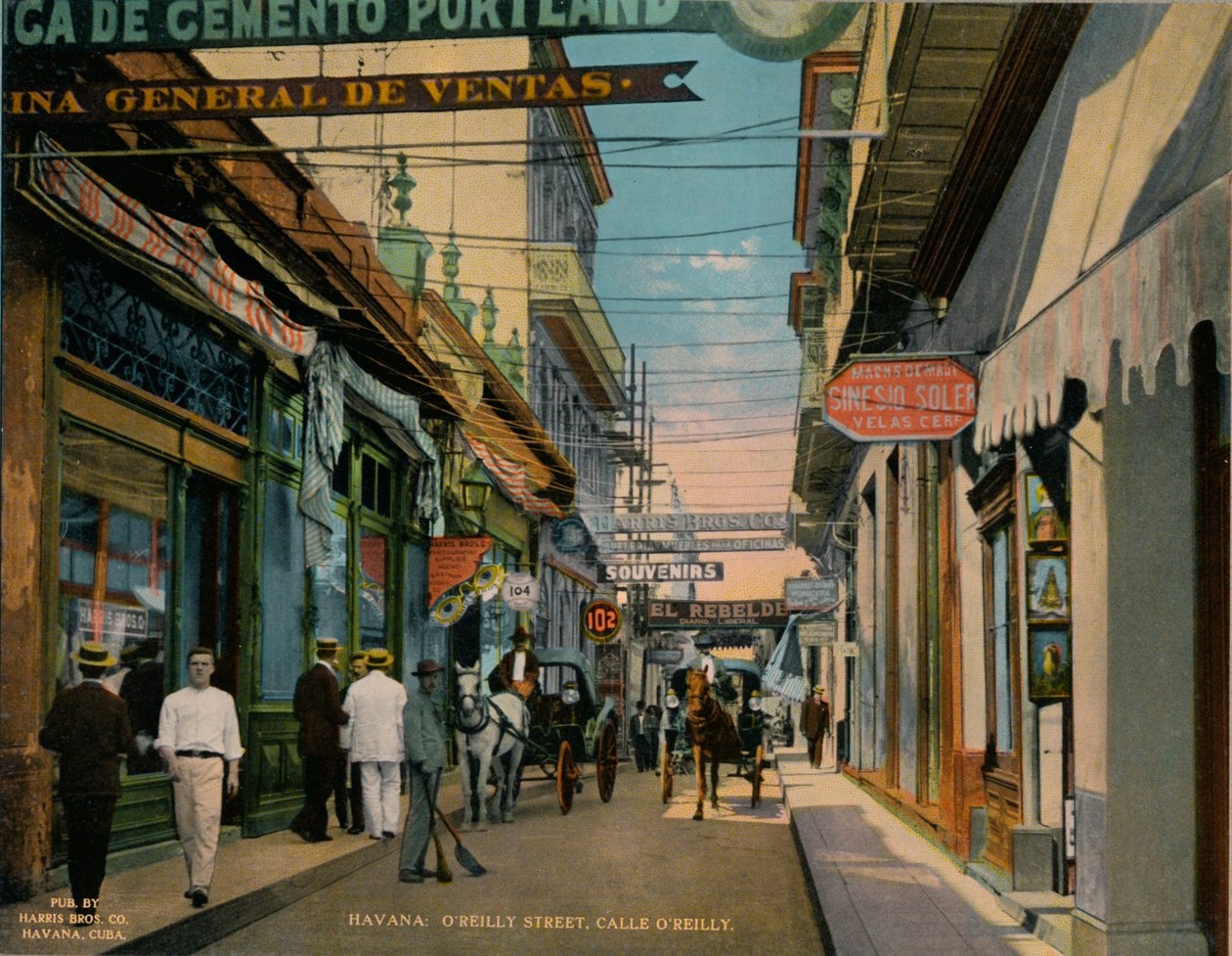 Calle O