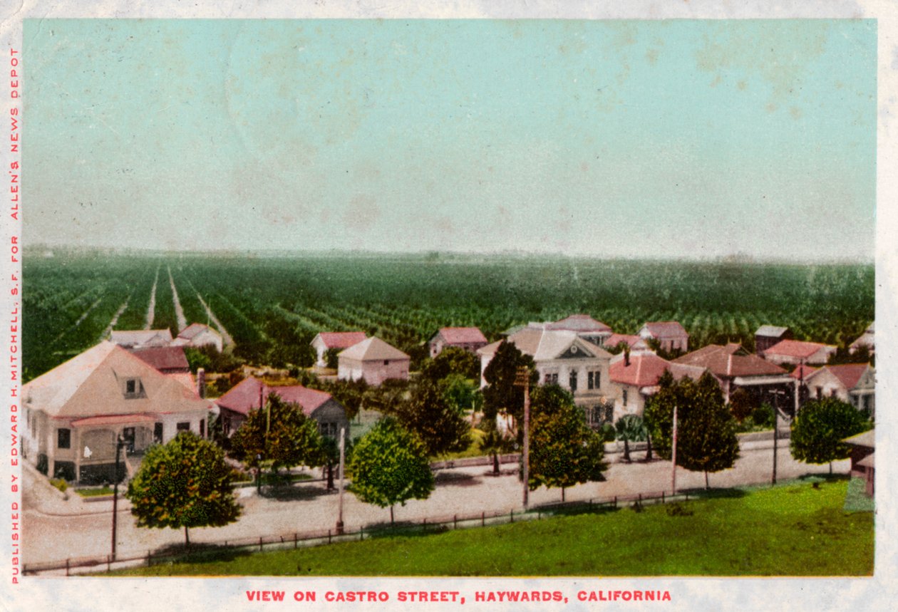 Castro Street, Hayward, Kalifornien, 1905 von Unbekannt