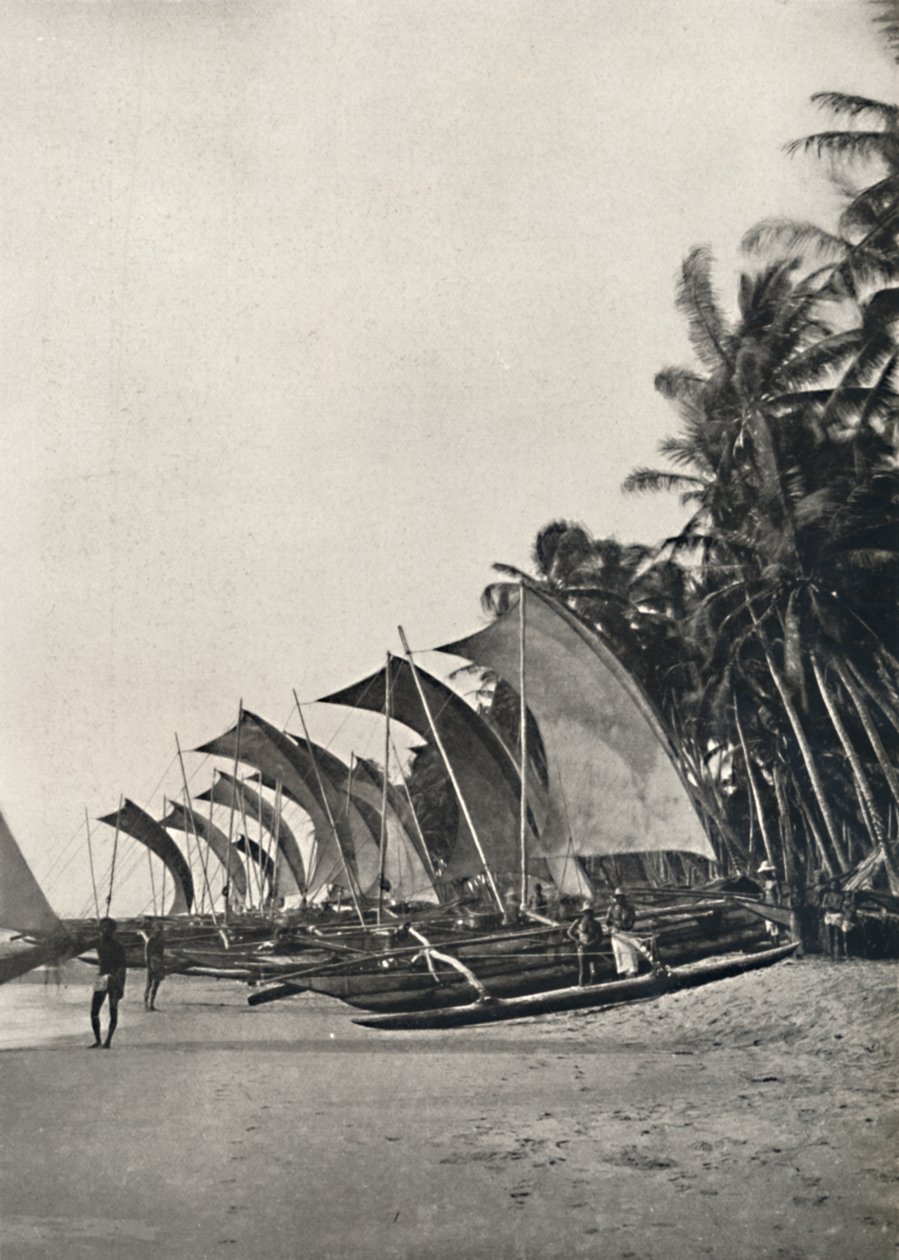 Ceylonesische Seefischerboote mit Ausleger, 1926 von Unbekannt