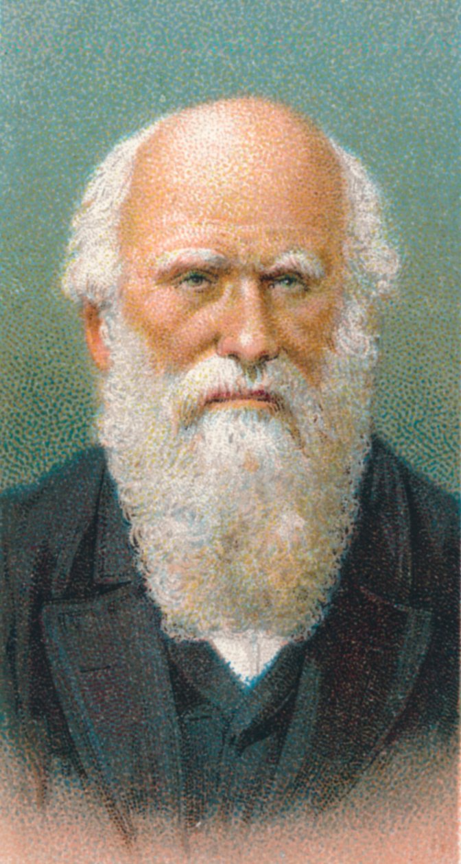 Charles Darwin 1809-1882, britischer Naturforscher, 1924 von Unbekannt