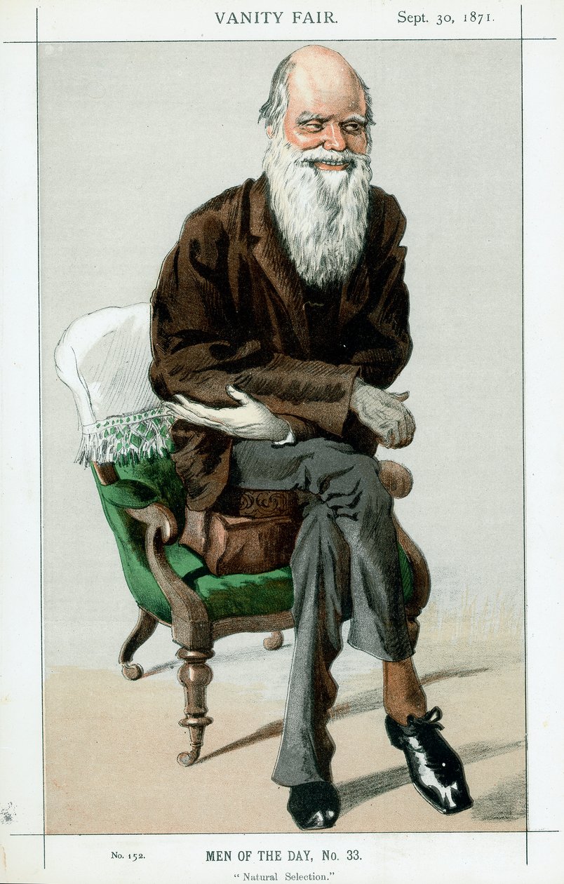 Charles Darwin, englischer Naturforscher, 1871 von Unbekannt