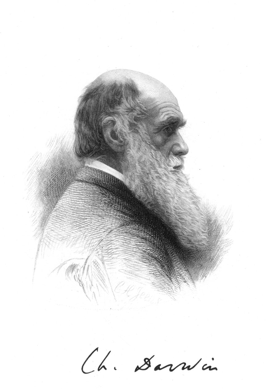Charles Darwin, englischer Naturforscher, ca. 1880 von Unbekannt