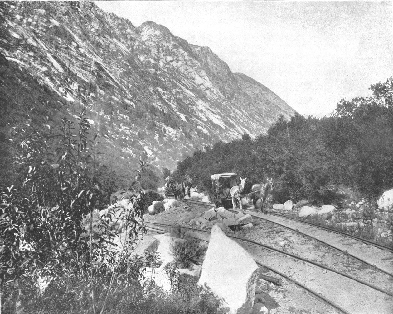 Cottonwood Canyon, Utah, USA, um 1900 von Unbekannt