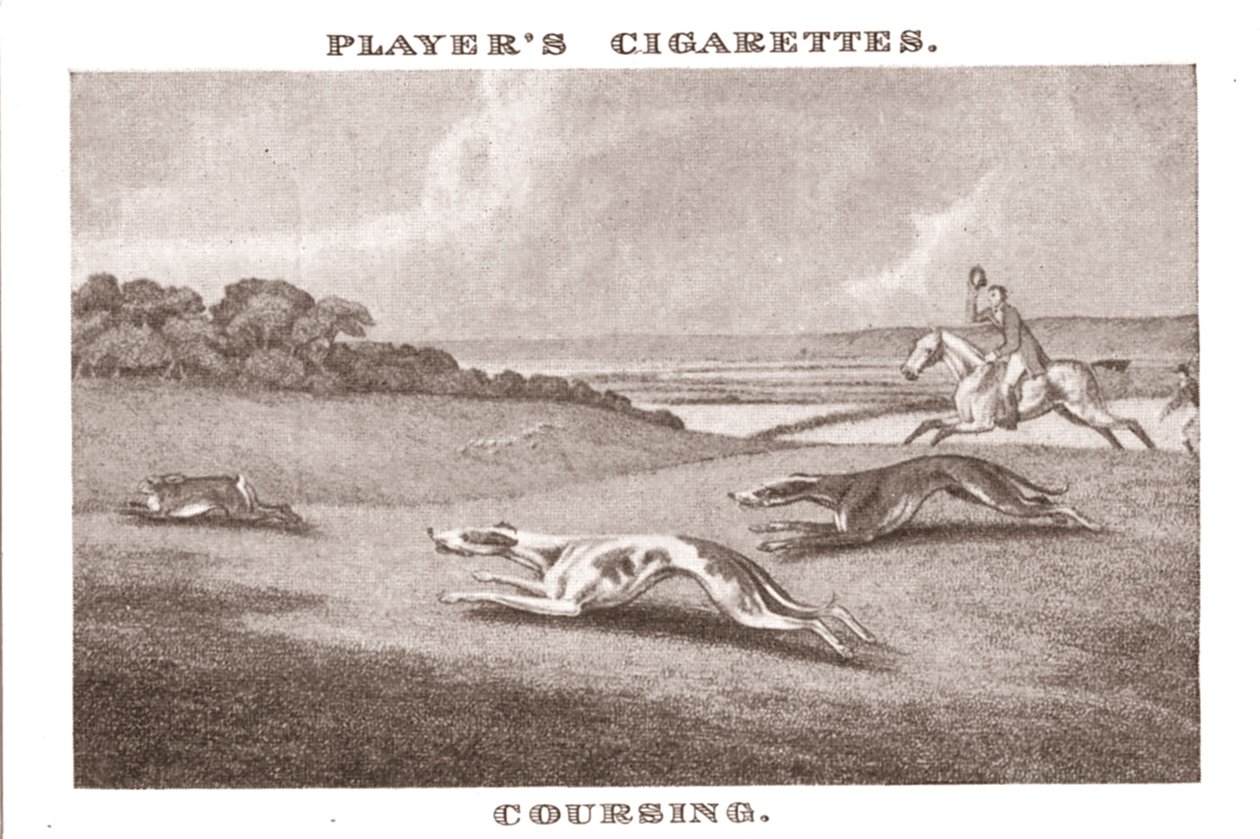 Coursing von Unbekannt