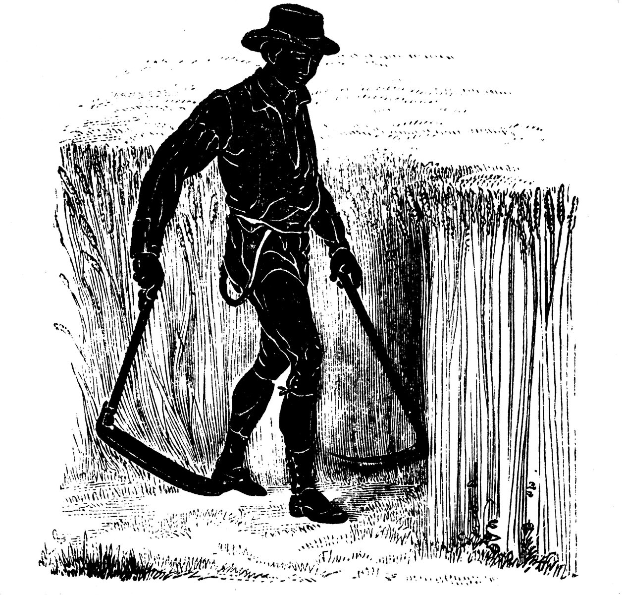 Fruchtfolge: Ernten mit einer Hainault-Sense, 1855 von Unbekannt