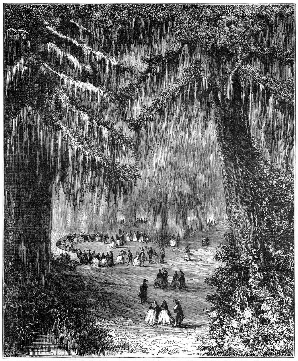 Zypressenhain in Chapultepec, Mexiko-Stadt, 1877 von Unbekannt