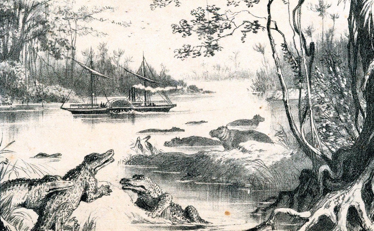 David Livingstone navigiert den Sambesi, Afrika, 1852-1864, ca. 1878 von Unbekannt
