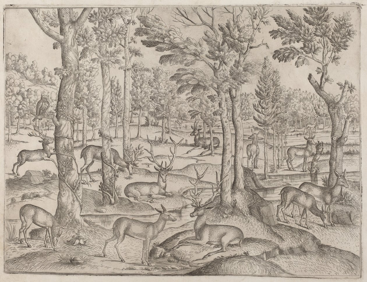 Hirsche im Wald, ca. 1520 von Unbekannt