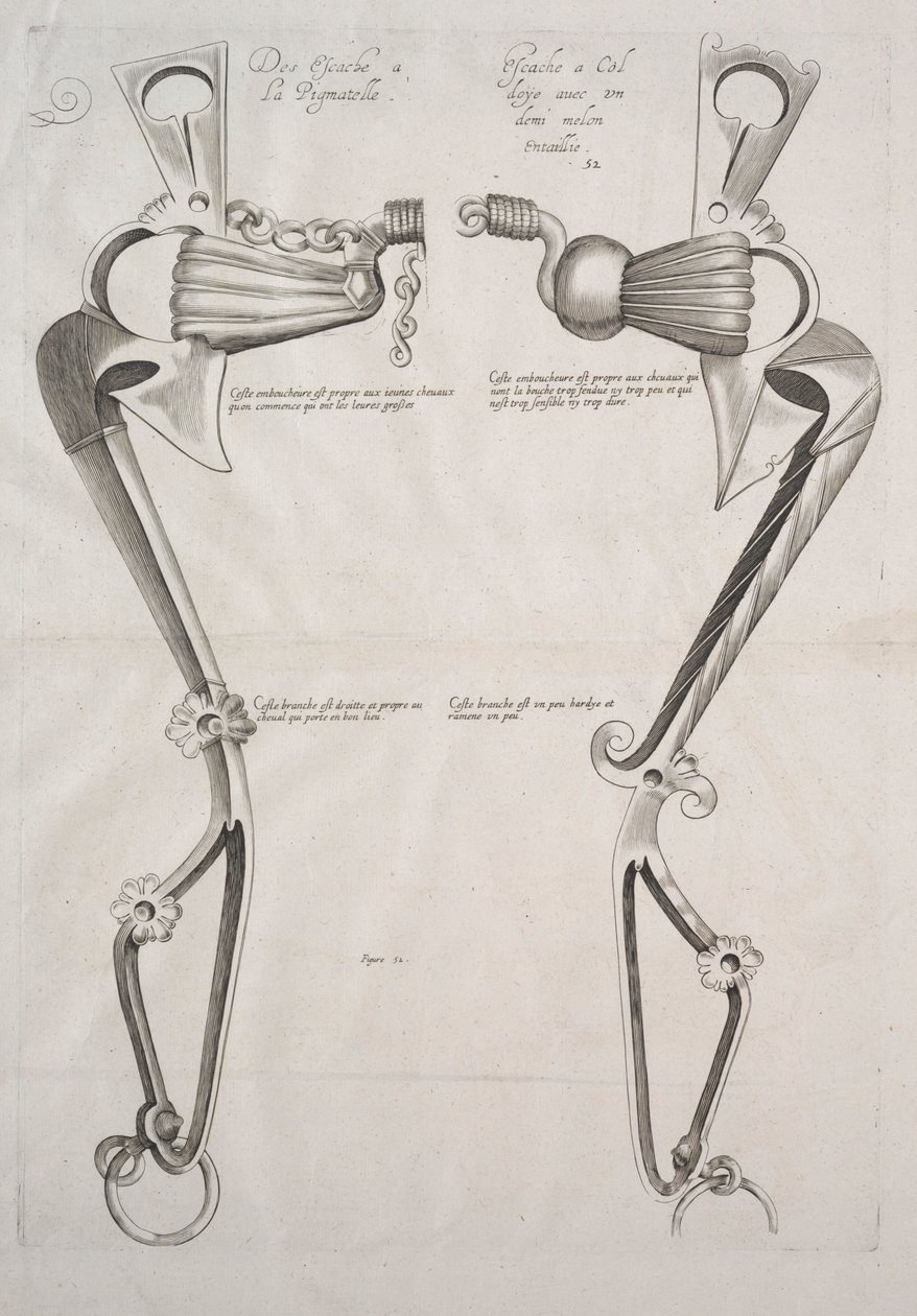Diagramm für Pferdegebiss, 1700er von Unbekannt