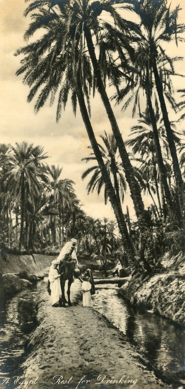 Ägypten - Rast zum Trinken von Unbekannt
