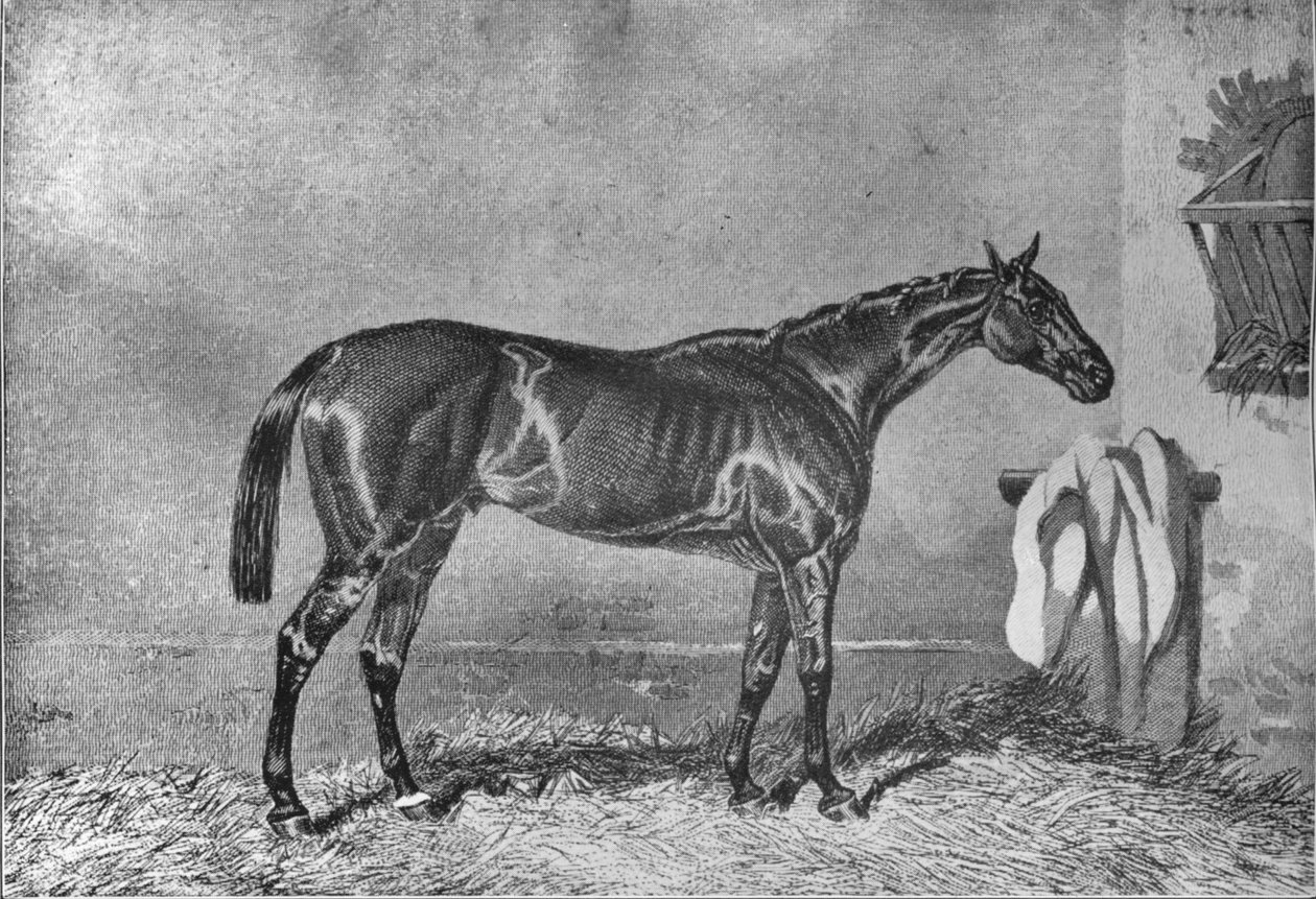 Ellington, 1853-1870 von Unbekannt